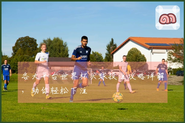 各大平台世界杯买球投注攻略详解，助你轻松下注