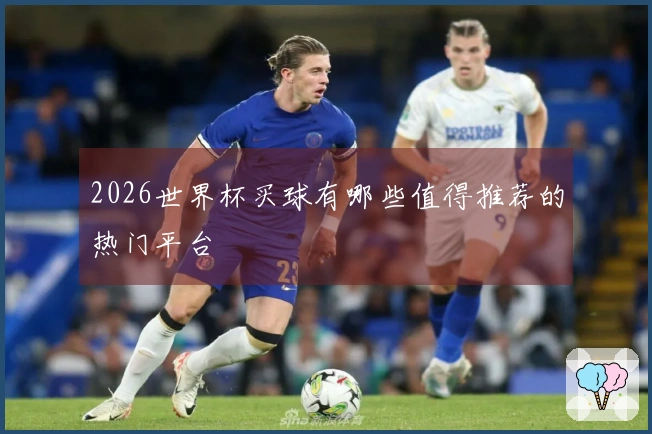 2026世界杯买球有哪些值得推荐的热门平台