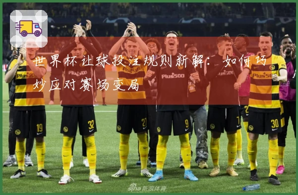 世界杯让球投注规则新解：如何巧妙应对赛场变局