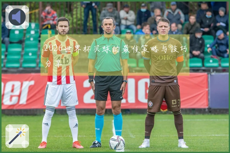 2026世界杯买球的最佳策略与技巧分享