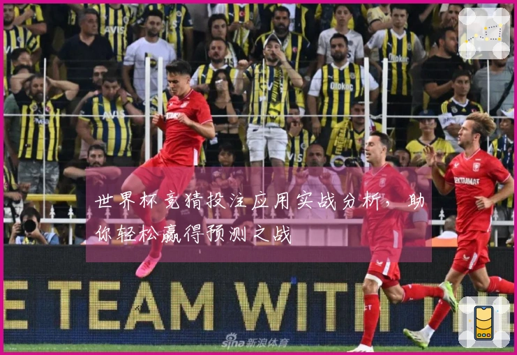 世界杯竞猜投注应用实战分析，助你轻松赢得预测之战