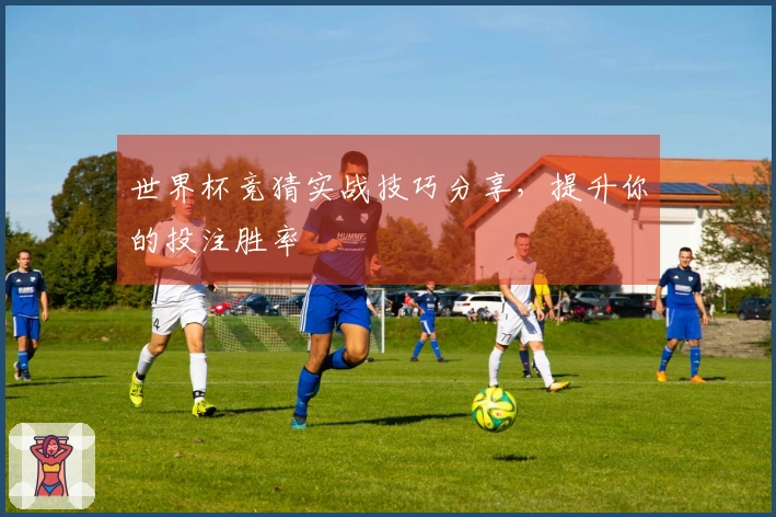 世界杯竞猜实战技巧分享，提升你的投注胜率